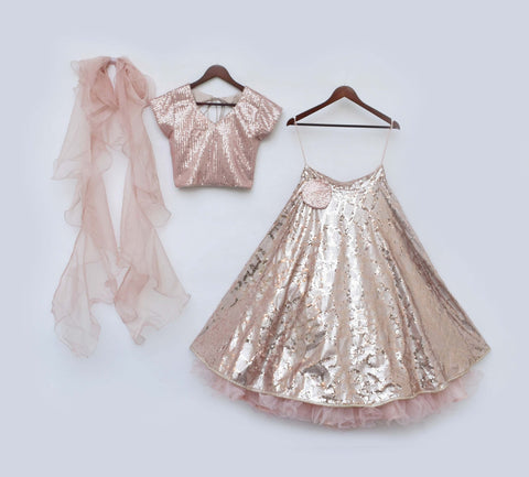 Pre-Order: Peach Sequins Choli and Lehenga Set