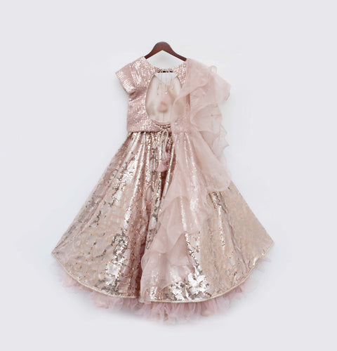 Pre-Order: Peach Sequins Choli and Lehenga Set