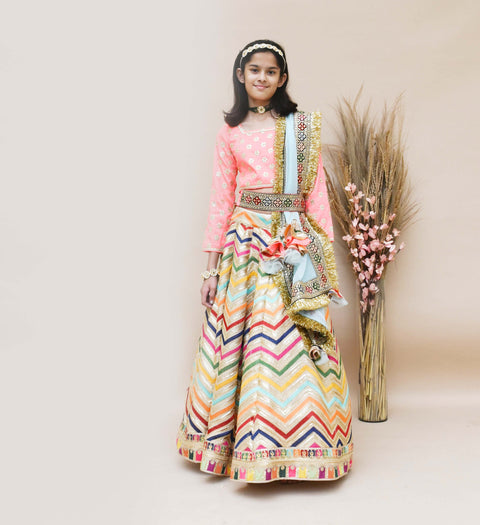 Pre-Order: Pink Choli with Embroidery Lehenga