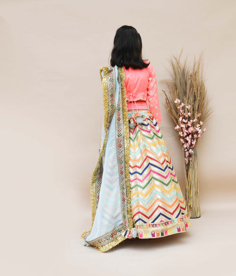 Pre-Order: Pink Choli with Embroidery Lehenga