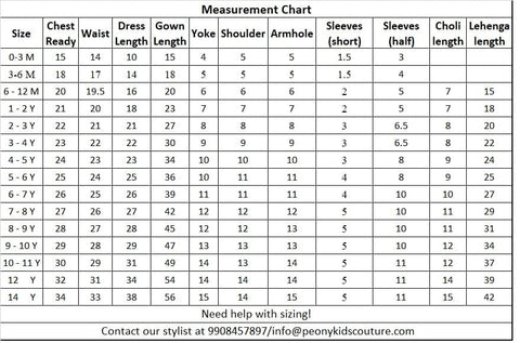 Pre-Order: Charm Choli and lehenga set