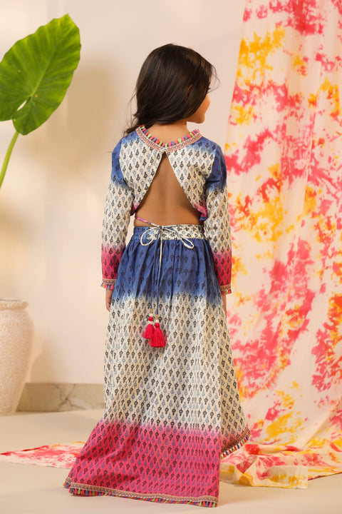 Pre-Order: Blue Pink and White Skirt Top Set