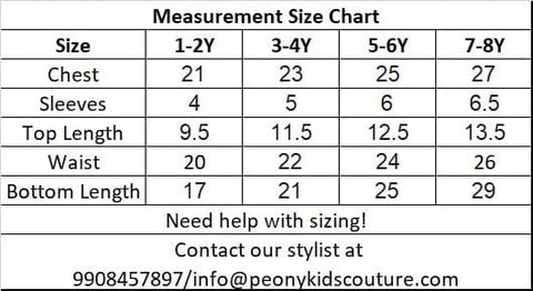 Pre-Order: Velvet Top with Multicolour Lehenga