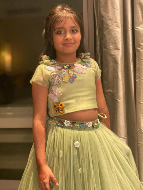 Pre-Order: Green Butterfly Lehenga Choli