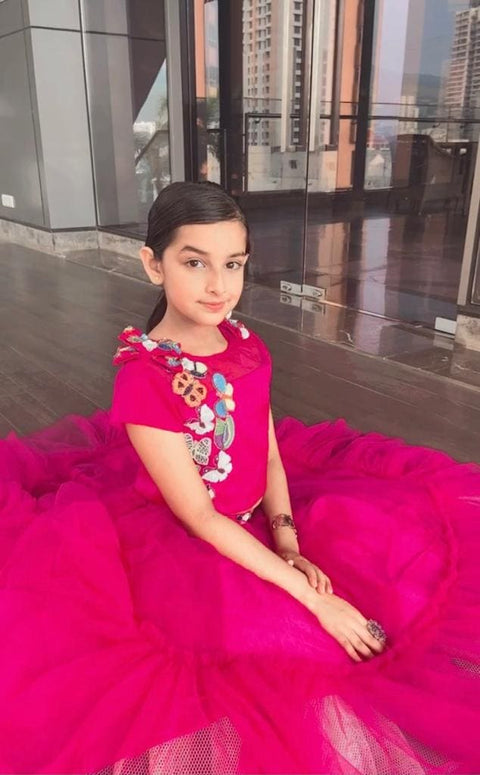 Pre-Order: Pink Butterfly Lehenga Choli