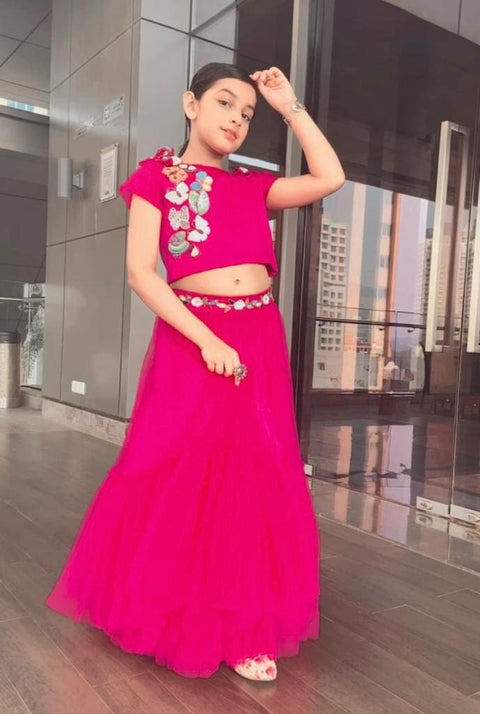 Pre-Order: Pink Butterfly Lehenga Choli