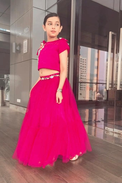 Pre-Order: Pink Butterfly Lehenga Choli