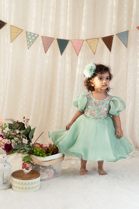 Pre-Order: Sage Green Organza Knee Length Dress