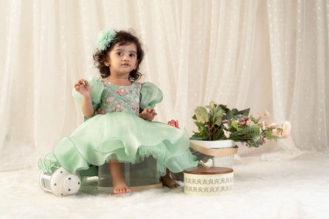 Pre-Order: Sage Green Organza Knee Length Dress