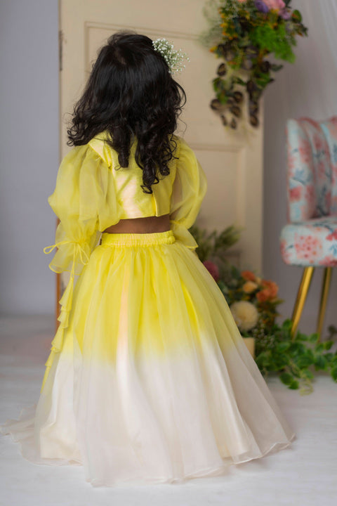 Pre-Order: Yellow White Floral Embroidery Ghagra Set