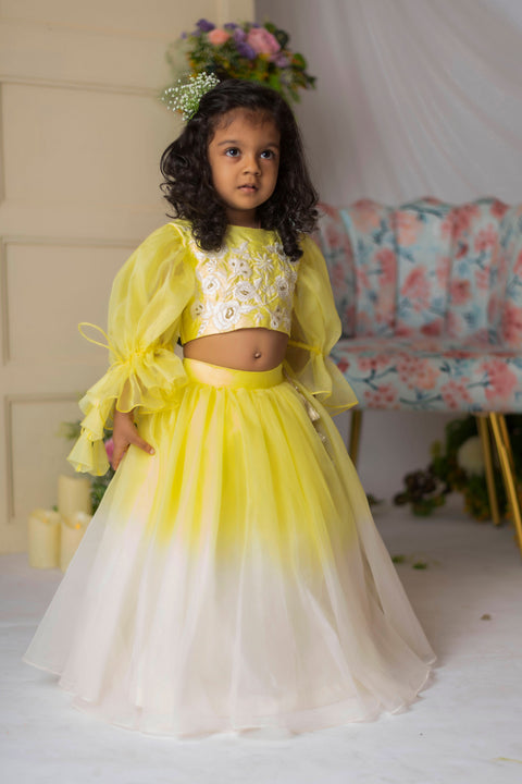 Pre-Order: Yellow White Floral Embroidery Ghagra Set