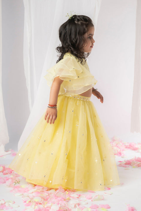 Pre-Order: Yellow Mirror Ghaghra  Set