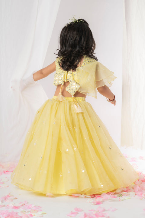 Pre-Order: Yellow Mirror Ghaghra  Set