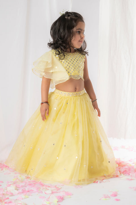 Pre-Order: Yellow Mirror Ghaghra  Set