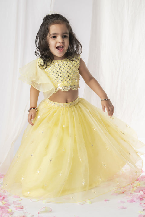 Pre-Order: Yellow Mirror Ghaghra  Set