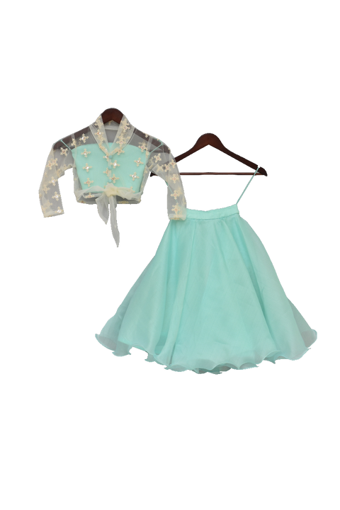 Pre-Order: Aqua Net Embroidery Choli with Lehenga