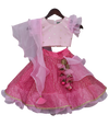 Pre-Order: Baby Pink Sequence Choli with Lehenga