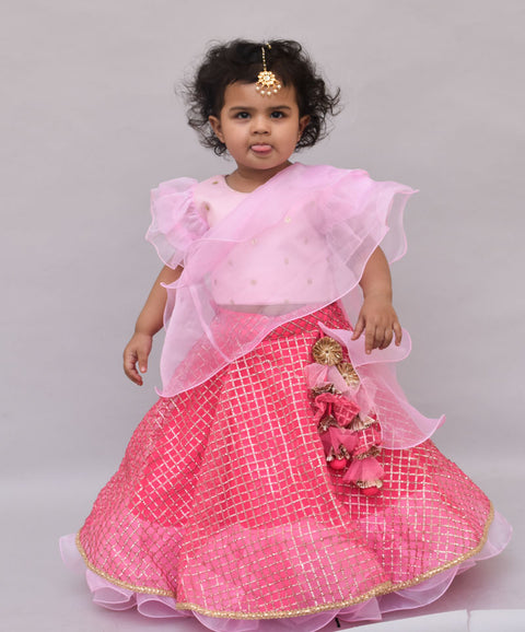 Pre-Order: Baby Pink Sequence Choli with Lehenga
