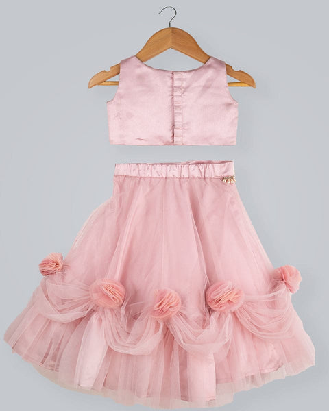Pre-Order: Old Rose Ghagra Choli with Embellishment on chest