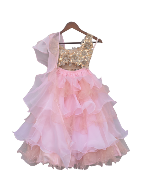 Pre-Order: Beige Choli with Pink Organza Lehenga