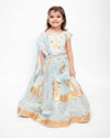 Pre-Order: Blue Gota Embroidery Lehenga Choli Set