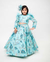 Pre-Order: Blue Sequins Embroidery Lehenga Choli
