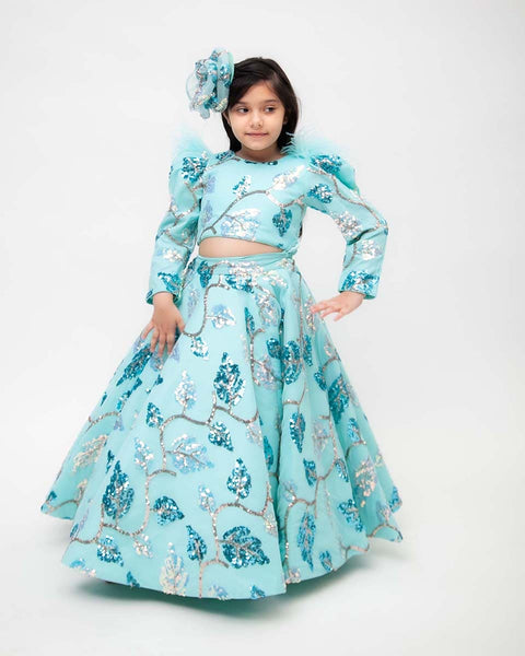 Pre-Order: Blue Sequins Embroidery Lehenga Choli