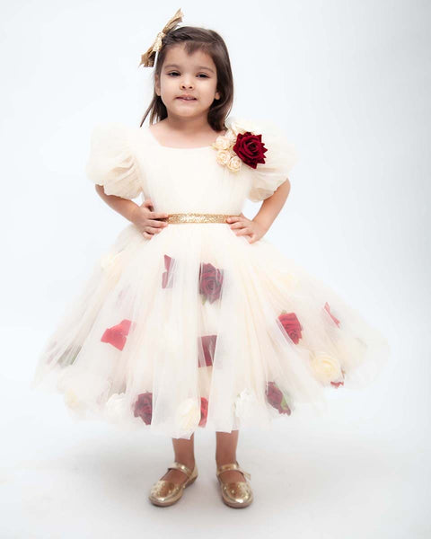Pre-Order: Cream Colour Net Dress