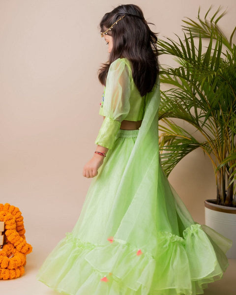 Pre-Order: Green Butterfly Ghagra