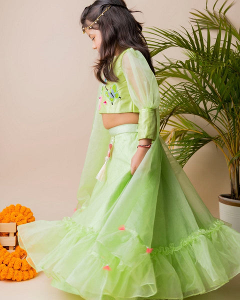Pre-Order: Green Butterfly Ghagra