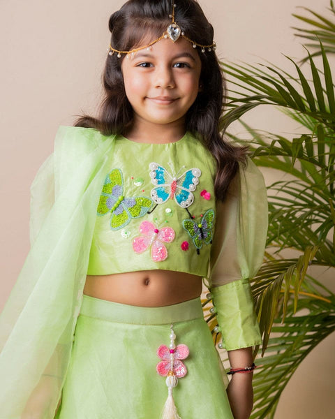 Pre-Order: Green Butterfly Ghagra