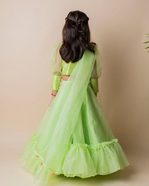 Pre-Order: Green Butterfly Ghagra