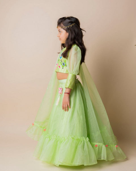 Pre-Order: Green Butterfly Ghagra