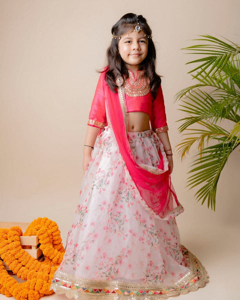 Pre-Order: Pink Floral Organza Ghagra