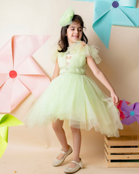 Pre-Order: Green Embroidery Dress