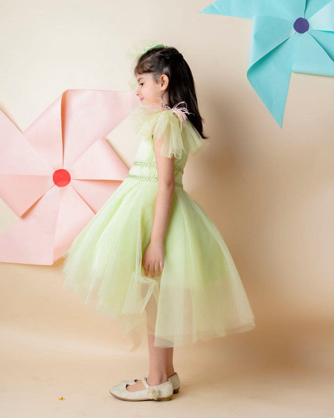 Pre-Order: Green Embroidery Dress