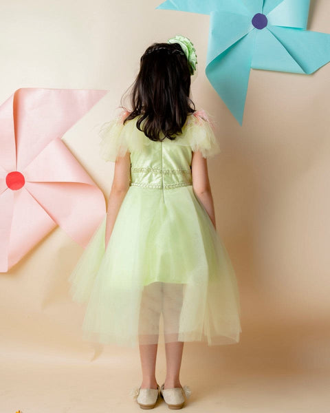 Pre-Order: Green Embroidery Dress