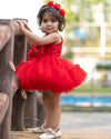 Pre-Order: Red Bow Dress