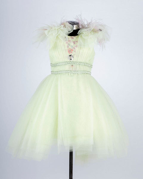 Pre-Order: Green Embroidery Dress