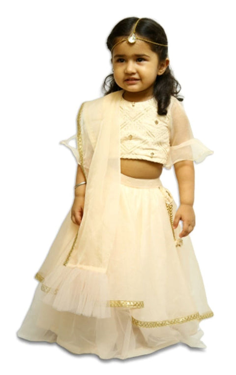 Pre-Order: Peach Chikankari Ghagra Set