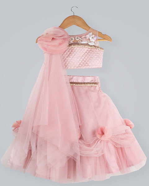 Pre-Order: Old Rose Ghagra Choli with Embellishment on chest