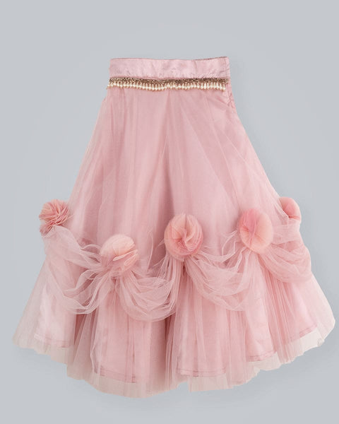 Pre-Order: Old Rose Ghagra Choli with Embellishment on chest