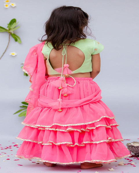 Pre-Order: Green Embroidery Choli with Pink Saree