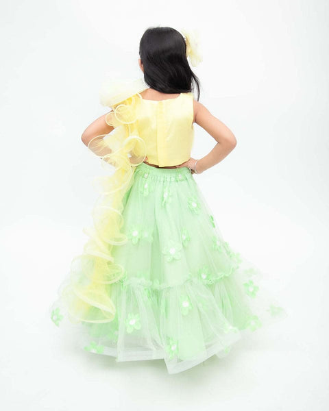 Pre-Order: Green Flowers Net Lehenga with Yellow Net Choli
