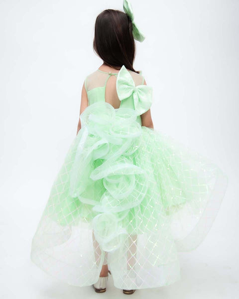 Pre-Order: Green Sequins Net Dress