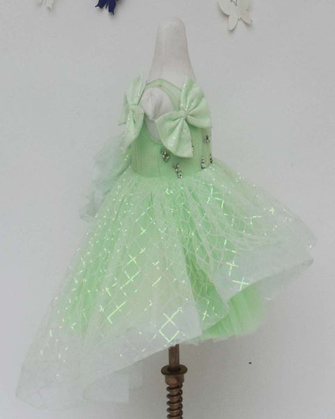 Pre-Order: Green Sequins Net Dress