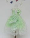 Pre-Order: Green Sequins Net Dress