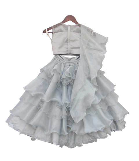 Pre-Order: Grey Choli with Lehenga