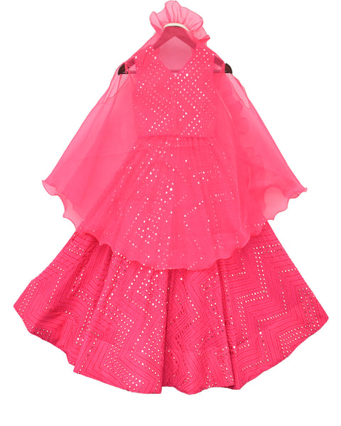 Pre-Order: Hot Pink Embroidery Choli with Lehenga & Cape