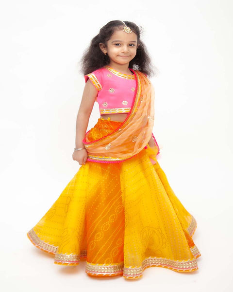 Pre-Order: Hot Pink Choli with Yellow Organza Lehenga
